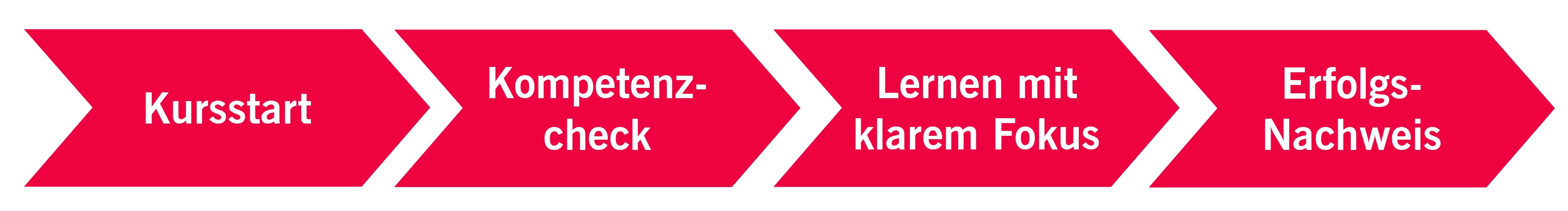 Das Lernkonzept von digi.skills