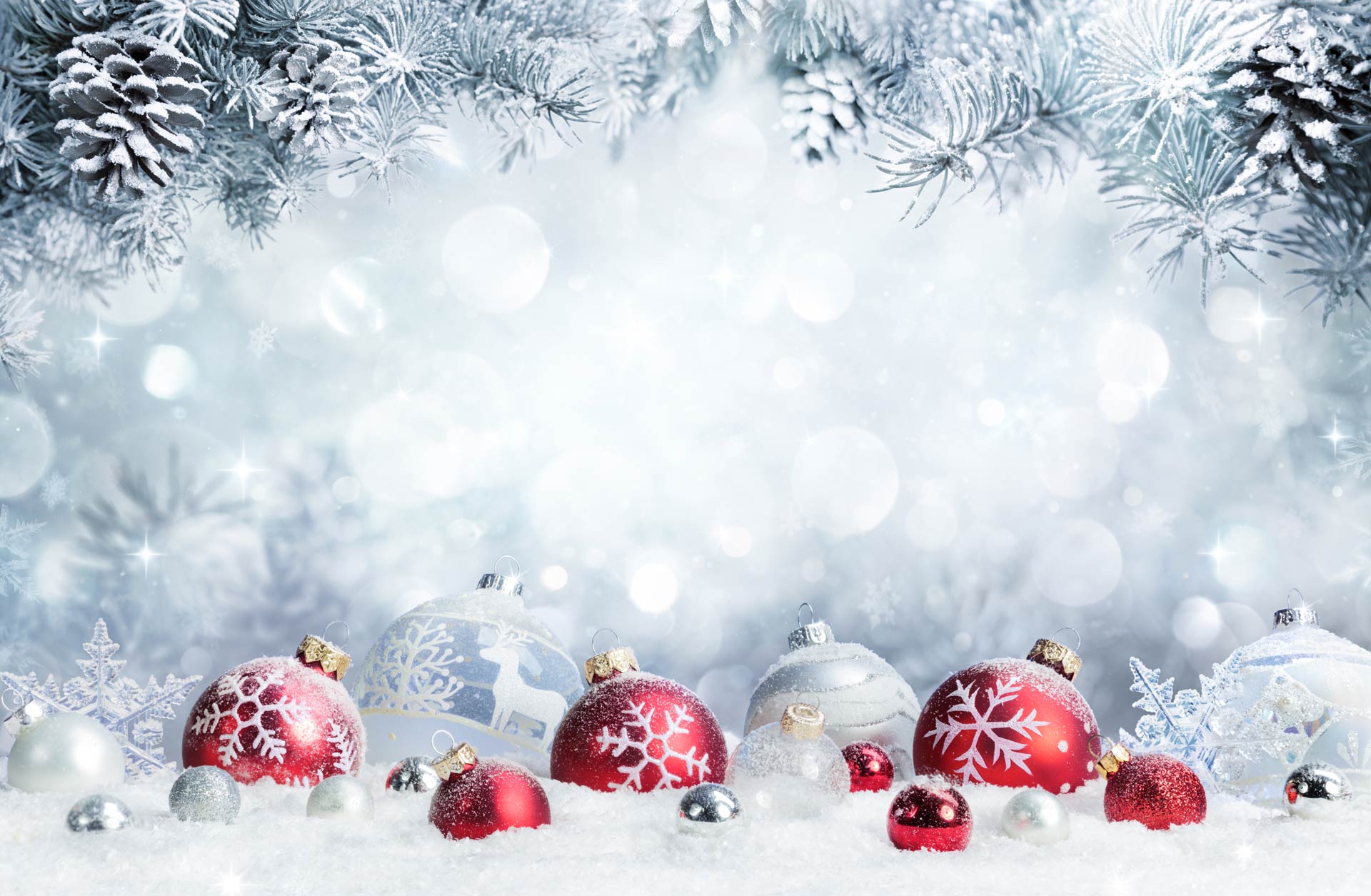 Frohe Weihnachten